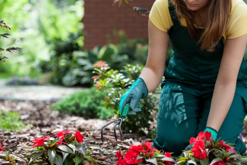 Crew pricing a pruning job near a busy Vauxhall street
