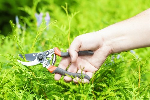 Complaint records and service improvement process for tree surgeons