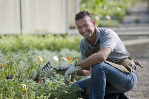 Professional arborist pruning branches safely in a city setting